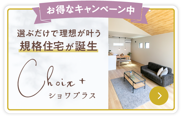 お得なキャンペーン中 ショワプラス
